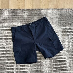 Theory Blue Cargo Shorts